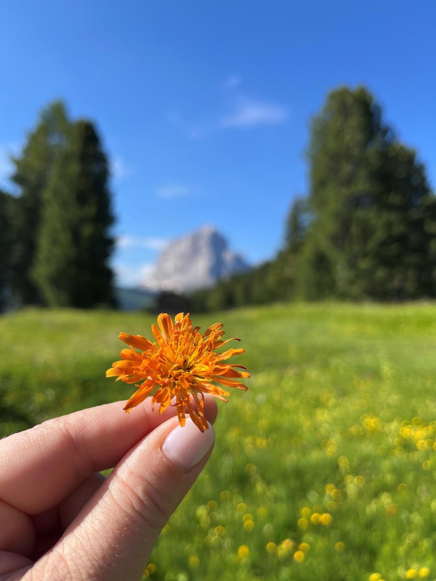Hotel Arnaria Ortisei Bagian luar foto